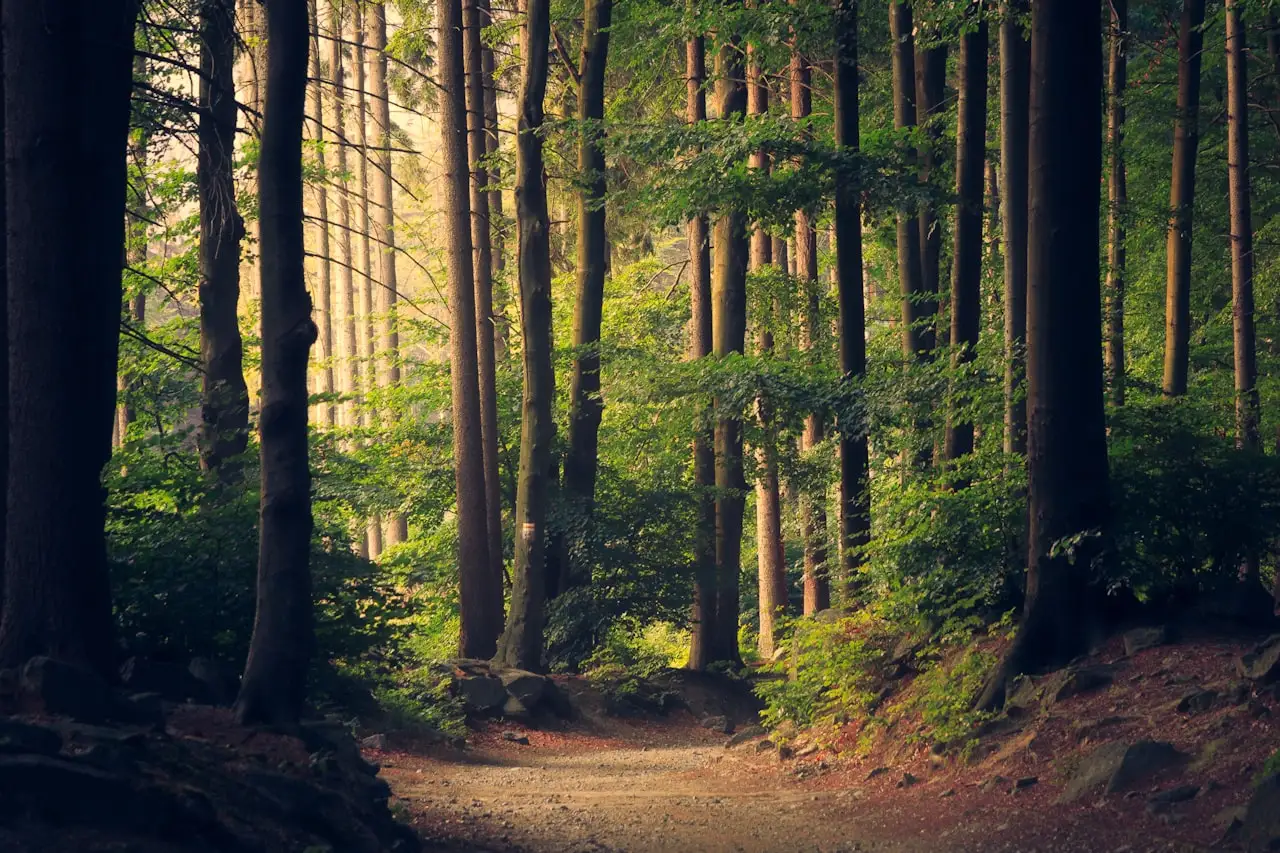 Outdoor Recreation