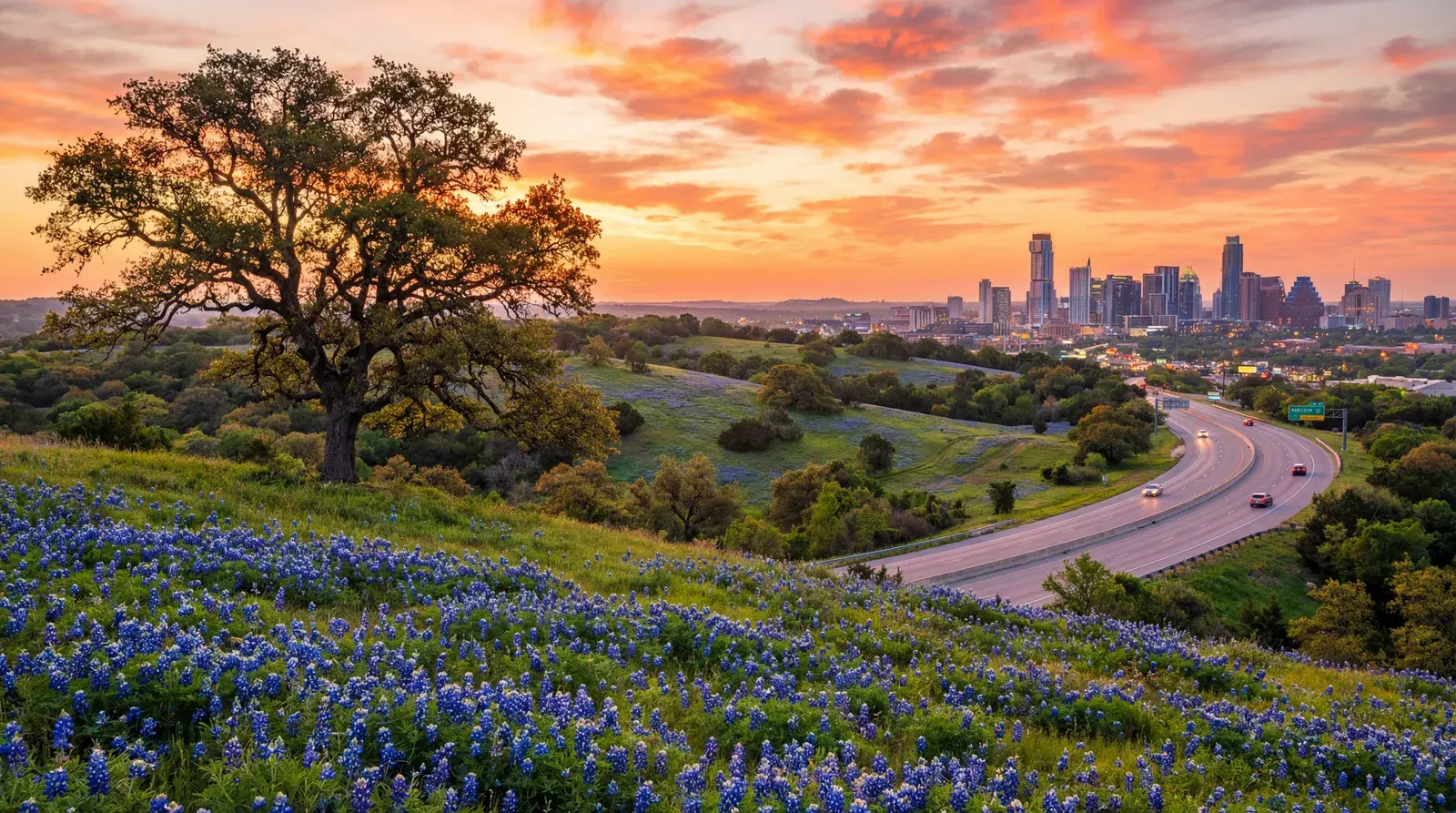 Texas landscape at sunset with wide open skies and rolling terrain across the Lone Star State